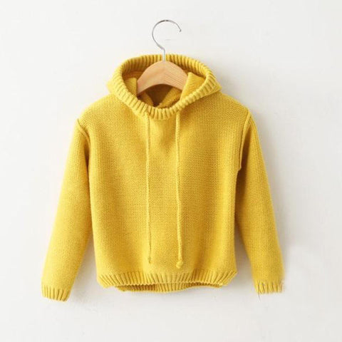 Toddler Girls Sweaters Coat Children's Hooded pullover Sweater Baby Boys girls Autumn&winter/Spring clothes Kids Tops